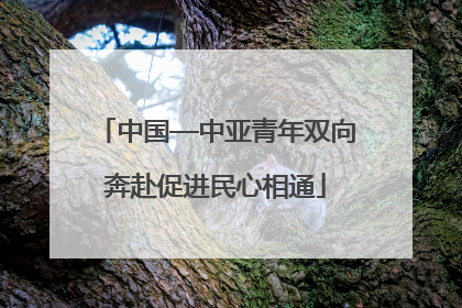 中国—中亚青年双向奔赴促进民心相通