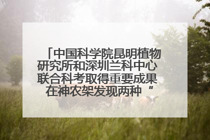 中国科学院昆明植物研究所和深圳兰科中心联合科考取得重要成果 在神农架发现两种“国保”级兰花