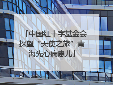 中国红十字基金会探望“天使之旅”青海先心病患儿