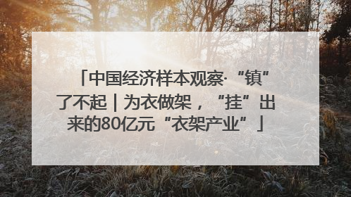 中国经济样本观察·“镇”了不起｜为衣做架，“挂”出来的80亿元“衣架产业”