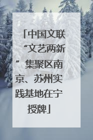 中国文联“文艺两新”集聚区南京、苏州实践基地在宁授牌