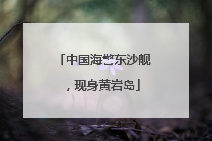 中国海警东沙舰，现身黄岩岛