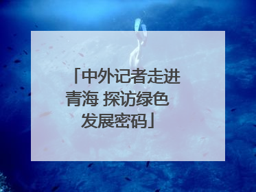 中外记者走进青海 探访绿色发展密码