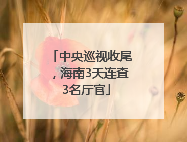 中央巡视收尾，海南3天连查3名厅官