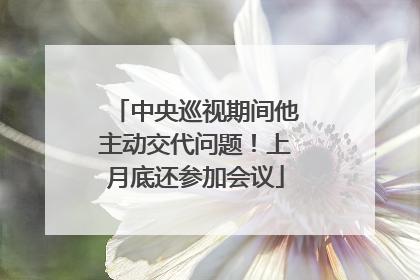 中央巡视期间他主动交代问题！上月底还参加会议