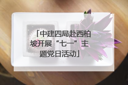 中建四局赴西柏坡开展“七一”主题党日活动