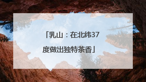 乳山：在北纬37度做出独特茶香