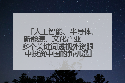 人工智能、半导体、新能源、文化产业……多个关键词透视外资眼中投资中国的新机遇