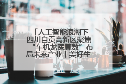 人工智能浪潮下 四川自贡高新区聚焦“车机龙医算数”布局未来产业丨美好生活有“盐”味