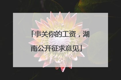 事关你的工资，湖南公开征求意见
