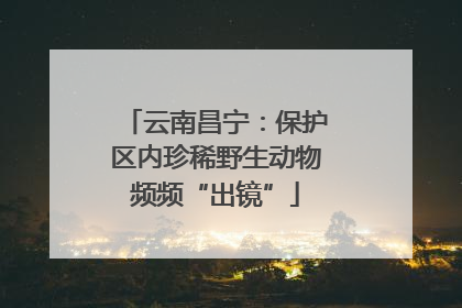 云南昌宁：保护区内珍稀野生动物频频“出镜”