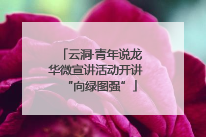 云洞·青年说龙华微宣讲活动开讲“向绿图强”