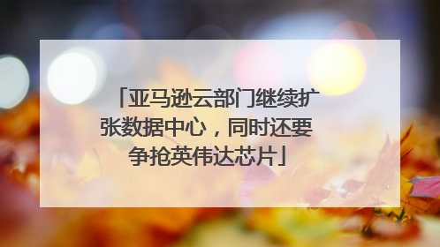 亚马逊云部门继续扩张数据中心，同时还要争抢英伟达芯片