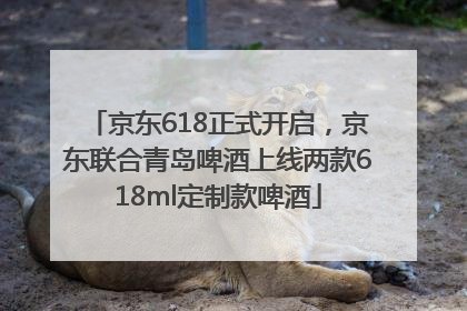 京东618正式开启，京东联合青岛啤酒上线两款618ml定制款啤酒