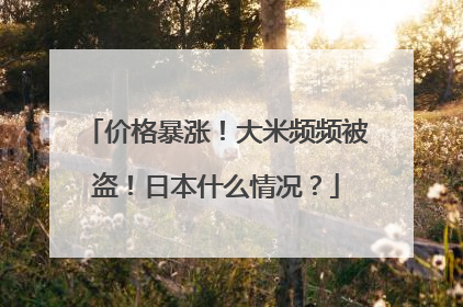 价格暴涨！大米频频被盗！日本什么情况？