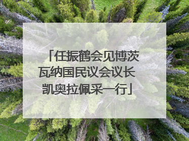任振鹤会见博茨瓦纳国民议会议长凯奥拉佩采一行