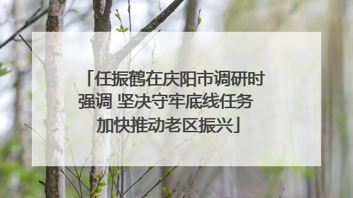 任振鹤在庆阳市调研时强调 坚决守牢底线任务 加快推动老区振兴