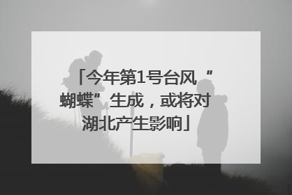今年第1号台风“蝴蝶”生成，或将对湖北产生影响