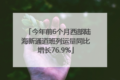 今年前6个月西部陆海新通道班列运量同比增长76.9%