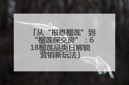从“报恩榴莲”到“榴莲保交房”：618榴莲品类日解锁营销新玩法