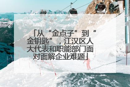 从“金点子”到“金钥匙”，江汉区人大代表和职能部门面对面解企业难题
