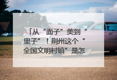从“面子”美到“里子”！荆州这个“全国文明村镇”是怎样炼成的？