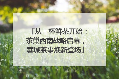 从一杯鲜茶开始：茶巢西南战略启幕，蓉城茶事焕新登场
