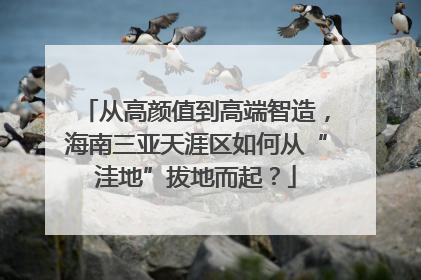 从高颜值到高端智造，海南三亚天涯区如何从“洼地”拔地而起？