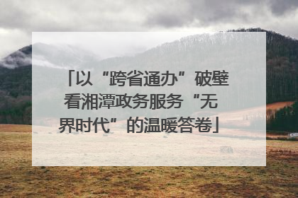 以“跨省通办”破壁 看湘潭政务服务“无界时代”的温暖答卷