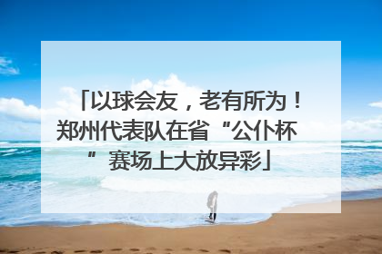 以球会友，老有所为！郑州代表队在省“公仆杯”赛场上大放异彩