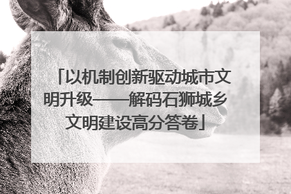 以机制创新驱动城市文明升级——解码石狮城乡文明建设高分答卷