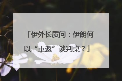 伊外长质问：伊朗何以“重返”谈判桌？