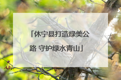 休宁县打造绿美公路 守护绿水青山