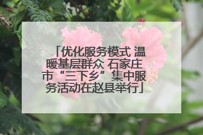 优化服务模式 温暖基层群众 石家庄市“三下乡”集中服务活动在赵县举行