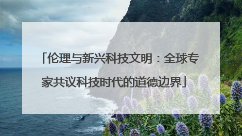 伦理与新兴科技文明：全球专家共议科技时代的道德边界