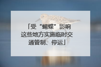受“蝴蝶”影响 这些地方实施临时交通管制、停运