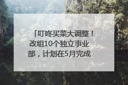 叮咚买菜大调整！改组10个独立事业部，计划在5月完成App端全面改版