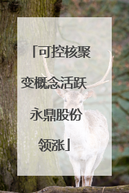 可控核聚变概念活跃 永鼎股份领涨
