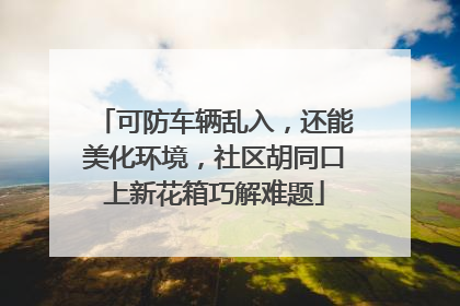 可防车辆乱入，还能美化环境，社区胡同口上新花箱巧解难题