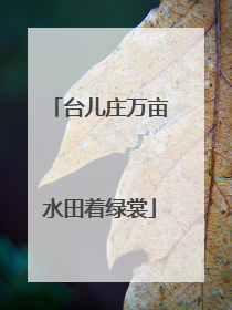 台儿庄万亩水田着绿裳