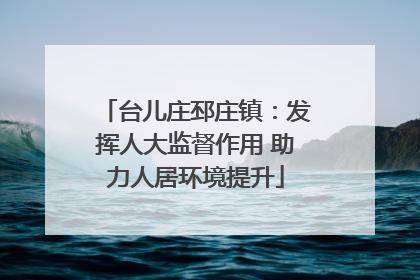 台儿庄邳庄镇：发挥人大监督作用 助力人居环境提升