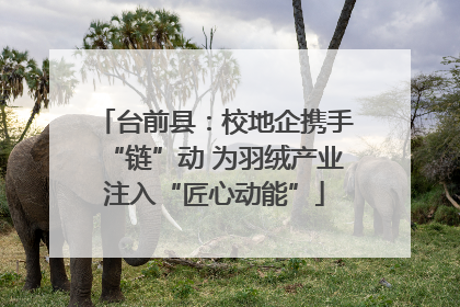 台前县：校地企携手“链”动 为羽绒产业注入“匠心动能”