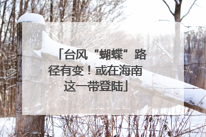 台风“蝴蝶”路径有变！或在海南这一带登陆