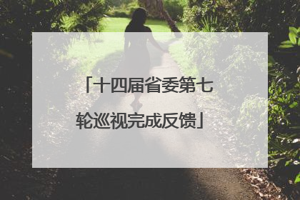 十四届省委第七轮巡视完成反馈