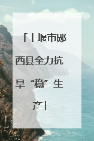 十堰市郧西县全力抗旱“稳”生产