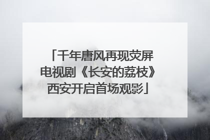 千年唐风再现荧屏 电视剧《长安的荔枝》西安开启首场观影
