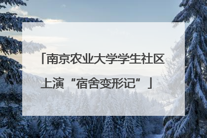 南京农业大学学生社区上演“宿舍变形记”