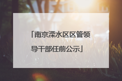 南京溧水区区管领导干部任前公示