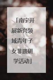 南宁开展新兴领域青年子女非遗研学活动