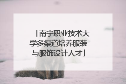 南宁职业技术大学多渠道培养服装与服饰设计人才